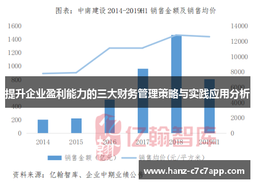 提升企业盈利能力的三大财务管理策略与实践应用分析
